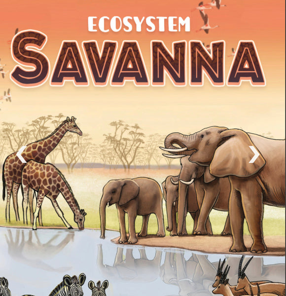 Ecosystem Savanna